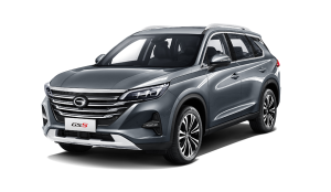 Эва-коврики на GAC GS5 I